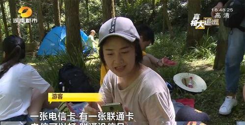 网红蔡二哥吃瓜视频在线观看,揭秘网红圈幕后故事 第3张 网红蔡二哥吃瓜视频在线观看,揭秘网红圈幕后故事 第3张